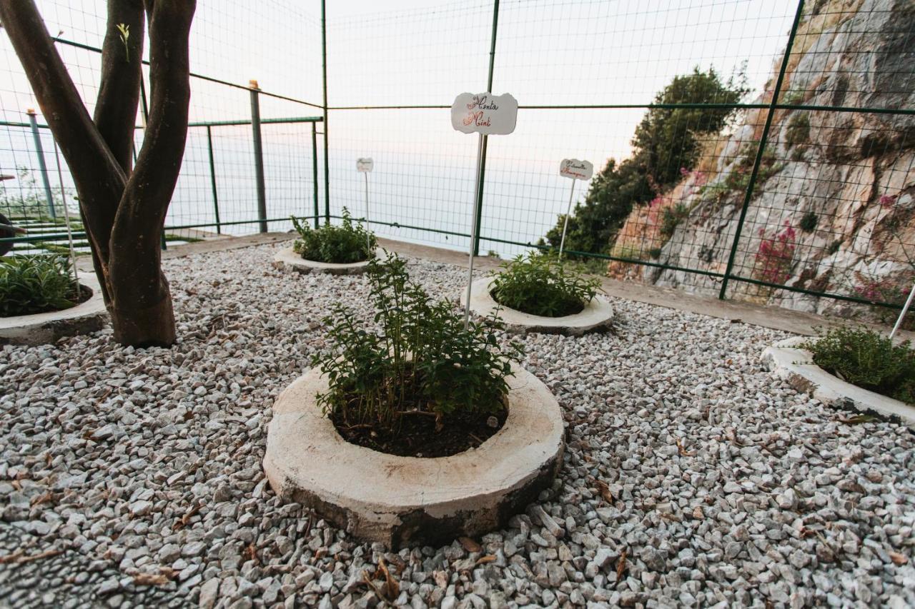 Apartments Paradise Garden Holiday House Agerola Esterno foto