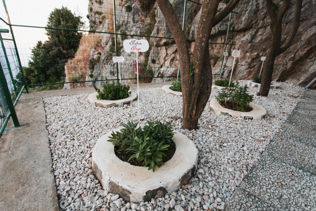 Apartments Paradise Garden Holiday House Agerola Esterno foto