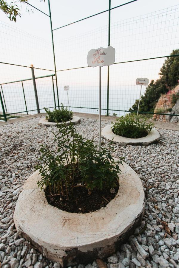Apartments Paradise Garden Holiday House Agerola Esterno foto